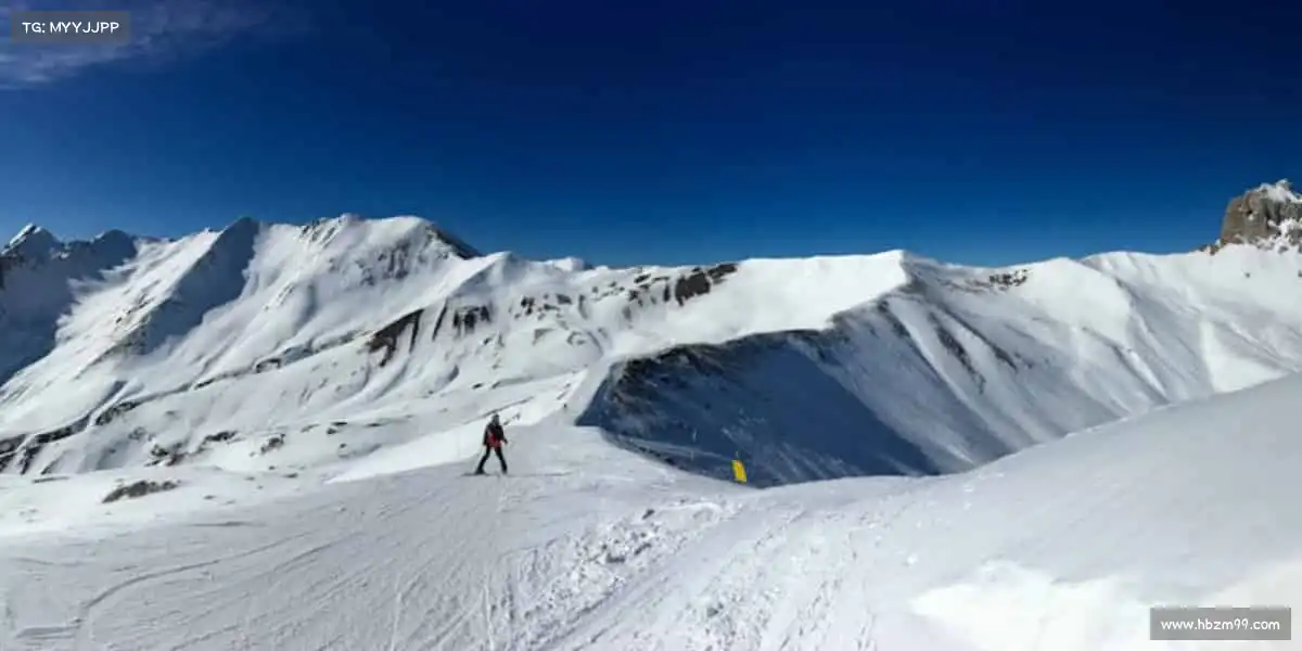 <strong>zoty中欧</strong>和千万运动爱好者一起，奔赴热爱！👥